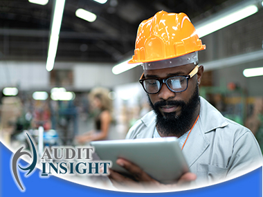 Layered Process Auditing